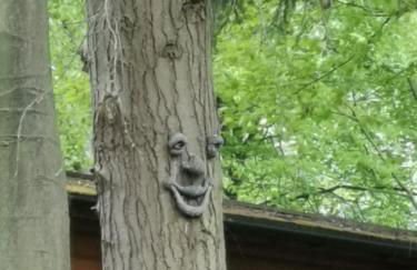 Fern Lodge - Foto 17