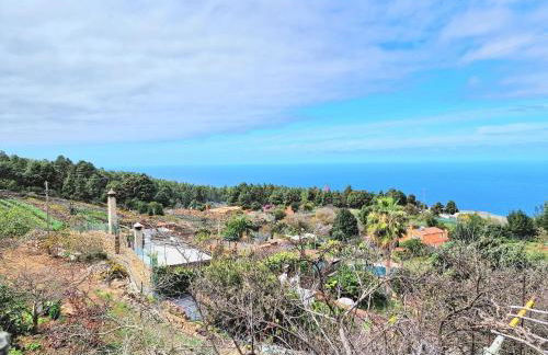 Casa Canaria Drago in Icod de los Vinos - Foto 24