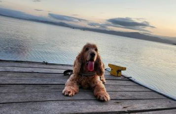 Ingleses casa grande con pátio - Foto 16