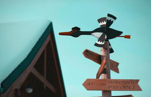 Chatka Czarny Bocian w Podgórzynie - Foto 52