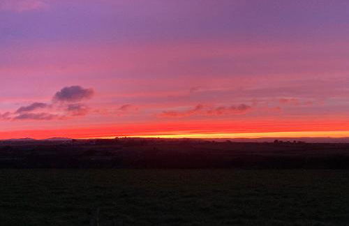Honeysuckle hut - Photo 7