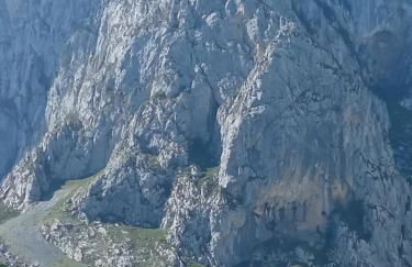 Flor de Pomar - Foto 7