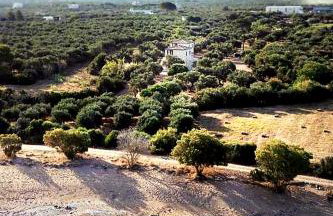 Olive Coast Houses - Photo 19
