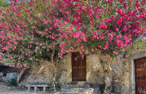 Outdoor Apt - Free Park - Bike Shuttle 3min - Foto 29