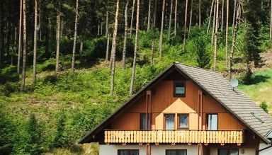 Black Forest Holidays - Auerhahn - Schwarz Wald - Foto 2