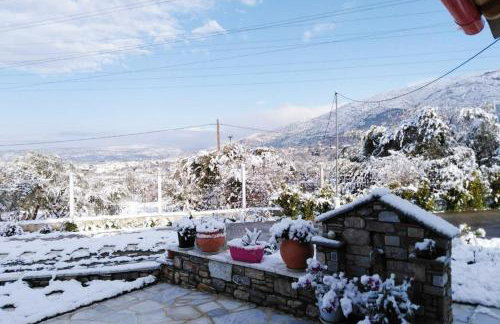 Παραδοσιακό σπίτι με τζάκι - Foto 50