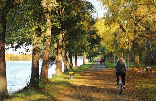 Ferienwohnung Grete - Foto 41