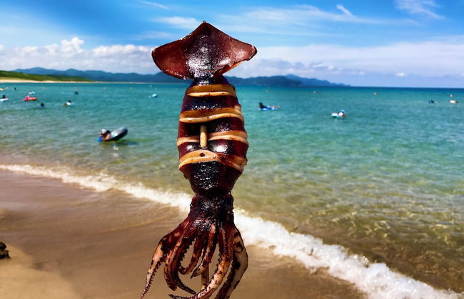 Rental cottage Santorope - Foto 25