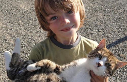 Ferienhof Almfrieden - Photo 29