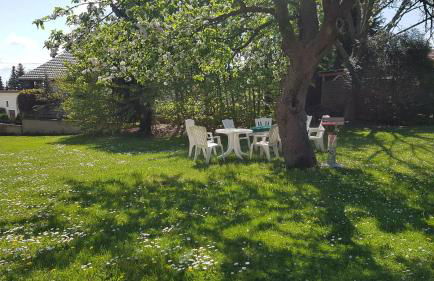 Bärchenhof - Foto 40