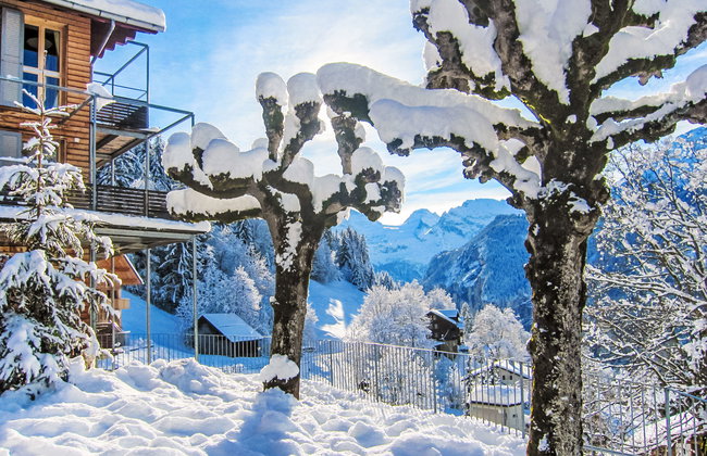 Breithorn Residence Apt.09 - Foto 25
