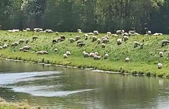 de lüt Ferienhof Jameln - Foto 43