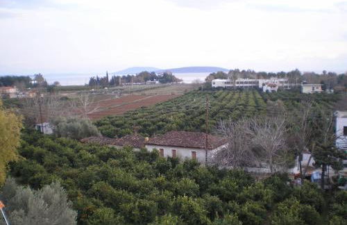 Christina Apartments - Foto 7