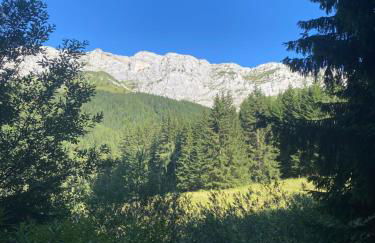 CRÊTES DU VERCORS VUE MAGNIFIQUE - Foto 21