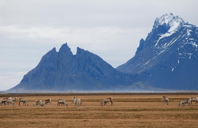 Stafafell Cottages - Foto 17