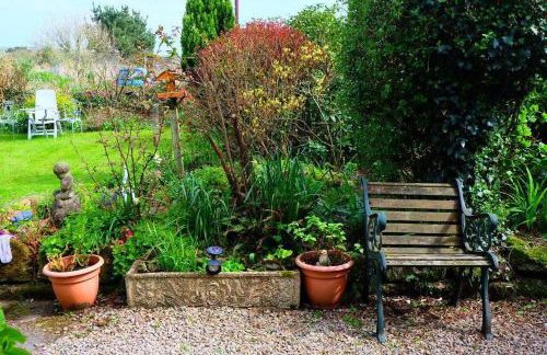 Annie's Cottage - 3 miles from the iconic Minack Theatre - Photo 8