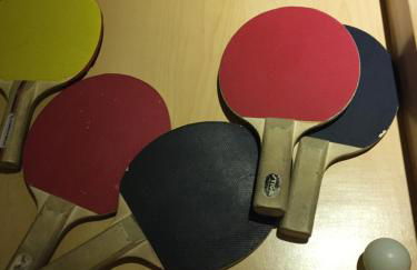 Forget me not Home - Photo 26