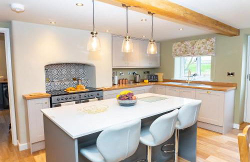 The Patches - Foto 44