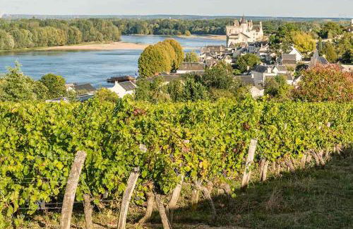 Maison de campagne entre Loire et vignes - Photo 22