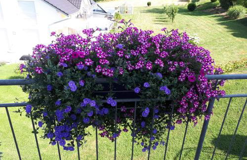 Ferienwohnungen Burgenmeister - Foto 3