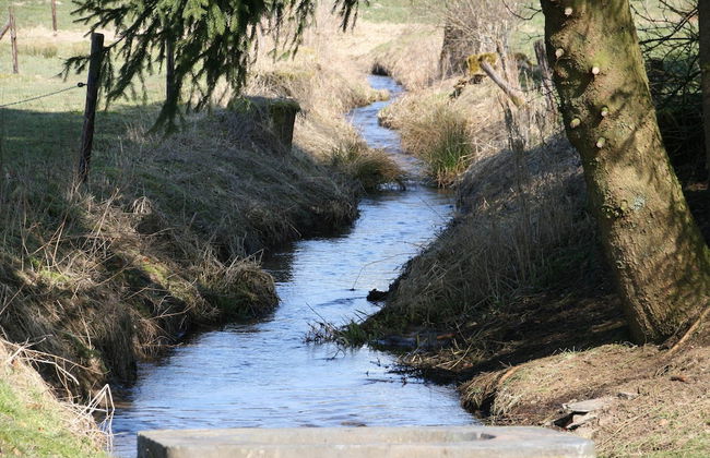 Vintage Farmhouse With Garden, Roofed Terrace - Photo 53