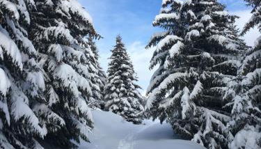 La Perle Des Alpes C2 - Foto 3