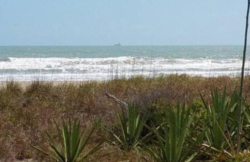 Oceanfront Beach Cottage - Pool, Yard, Private Beach Access, Sleeps 12 - Foto 15