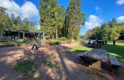 Humbug House - Foto 33