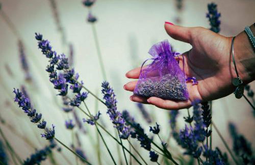 Casale Elisa Country Hotel - Foto 17