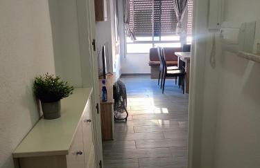 Apartamento en el centro vinaros - Foto 1