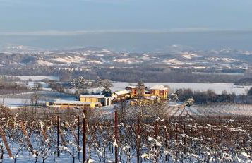 Tenuta Montebello - Foto 14