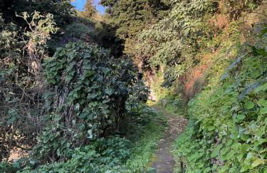 Casa Žerotín - Foto 52