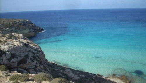 ROSA del SUD - Foto 2