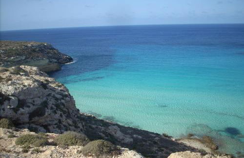 ROSA del SUD - Foto 2