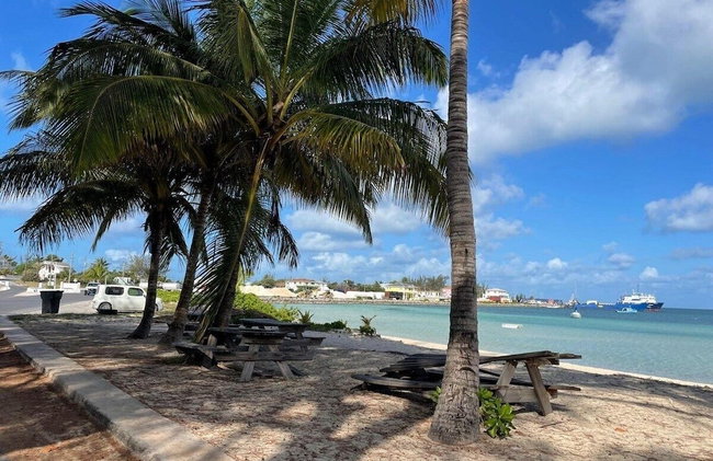 Winfield Manor 3 Bedroom Home - Foto 25