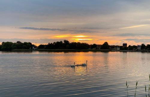 Wohnung mit Galerie - Foto 7