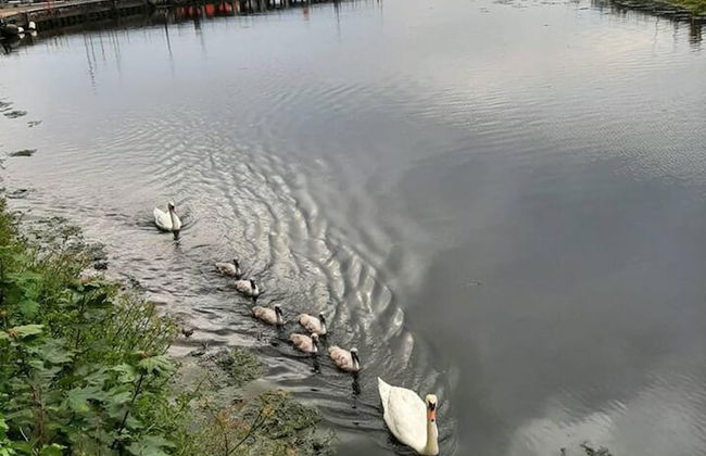 Stunning Riverside Town House With Views, Ayrshire - Foto 24