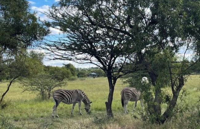 Kings View Exclusive Villas - Foto 51