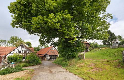 Hofgut Uhenfels - Photo 11