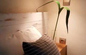 FEEL LIKE HOME IN LESVOS - Foto 10