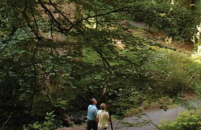 Edge Water Cottage-recently constructed - Foto 31