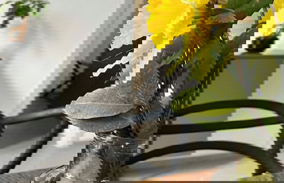 San Martino Holiday Apartments - Foto 12