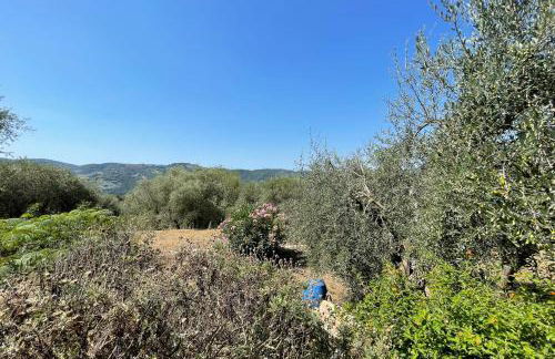 Provençal farmhouse 6 guests Peymeinade near Cannes - Foto 33