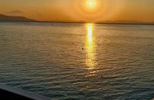 The Nest Apartment - Foto 7