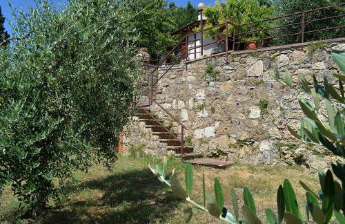 La Casina di Sarteano - Photo 23