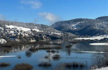 Bel appartement cosy proche de la frontière Suisse - Foto 4