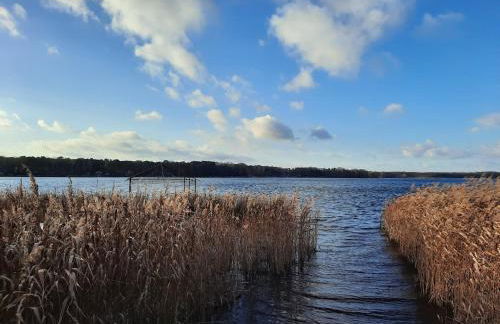 Tiny Haus am Motzener See - Foto 17