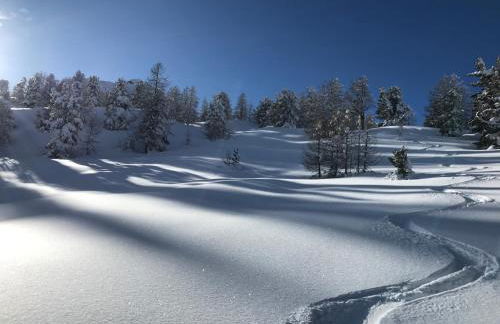 L'Etesy, pied des pistes et spa - Photo 39