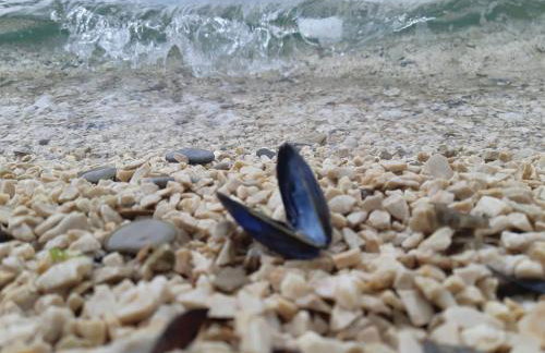 Villa Paradise Garden - Foto 40