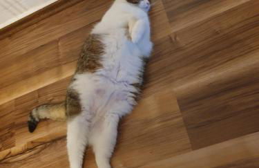 Ferienwohnung M.Spindler - Foto 9